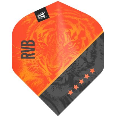 Piórka Target Raymond van Barneveld no2 G4